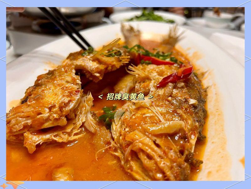 銅陵龍魚店，銅陵龍魚店——銅陵水族的標桿