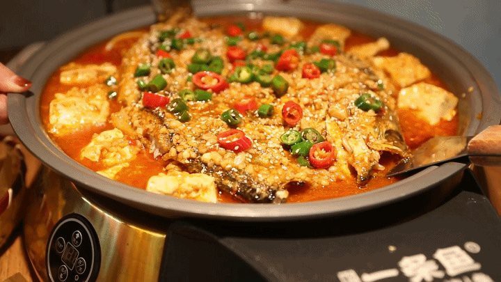 永壽龍魚店，永壽龍魚店哪家口碑最好 永壽龍魚店，永壽龍魚店哪家口碑最好 全國水族館企業名錄 第5張