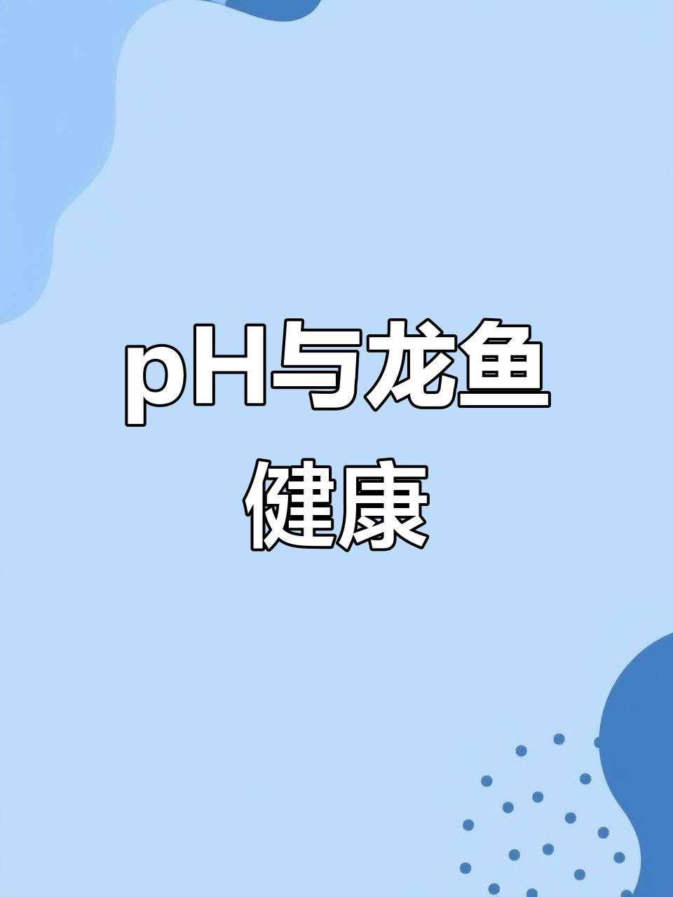 如何調(diào)整水質(zhì)以減少龍魚打斗？，如何調(diào)整水質(zhì)來減少龍魚之間的打斗行為
