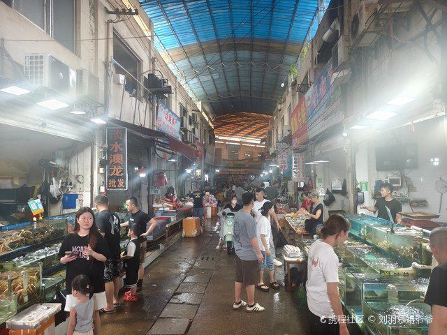 柳州魚缸批發市場，柳州魚缸批發市場的優勢