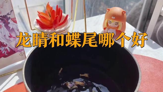 如何挑選健康的龍睛和蝶尾金魚？，如何挑選健康的龍睛和蝶尾金魚 如何挑選健康的龍睛和蝶尾金魚？，如何挑選健康的龍睛和蝶尾金魚 龍魚百科 第1張