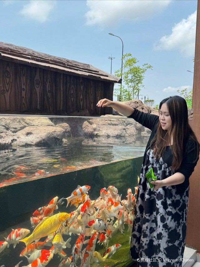 舟山魚缸店，舟山國際水產城開店怎么樣