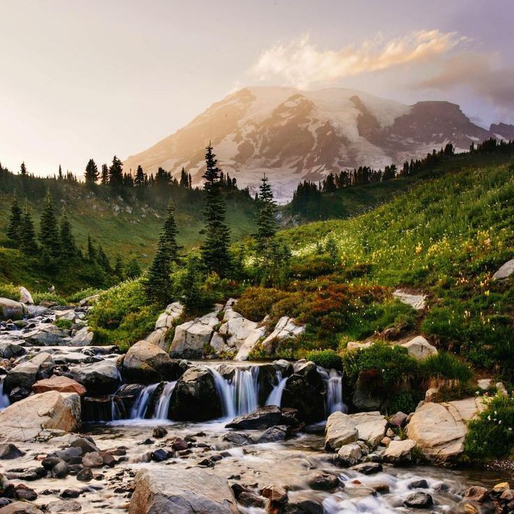 舟山魚缸店，舟山國際水產城開店怎么樣