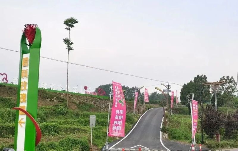 漢陰龍魚(yú)店，安康漢陰龍魚(yú)店一日游攻略漢陰縣有龍魚(yú)養(yǎng)殖場(chǎng)嗎