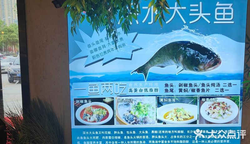 沅陵龍魚店，懷化沅陵龍魚店沅陵龍魚店的具體位置在哪里 沅陵龍魚店，懷化沅陵龍魚店沅陵龍魚店的具體位置在哪里 全國水族館企業名錄 第2張