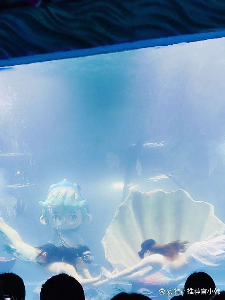 滕州水族店，滕州有哪些水族店鋪？