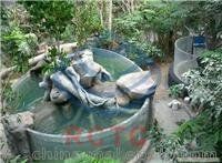 馬鞍山魚缸批發(fā)市場，馬鞍山魚缸批發(fā)市場有望持續(xù)擴大規(guī)模