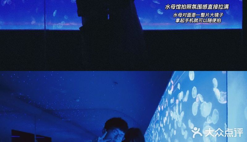 貴陽水族館，貴陽極地海洋世界深度游記：貴陽極地海洋世界—