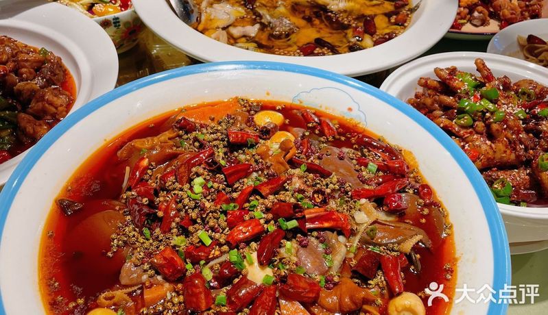 撫寧龍魚店，撫寧地區(qū)有賣龍魚的嗎