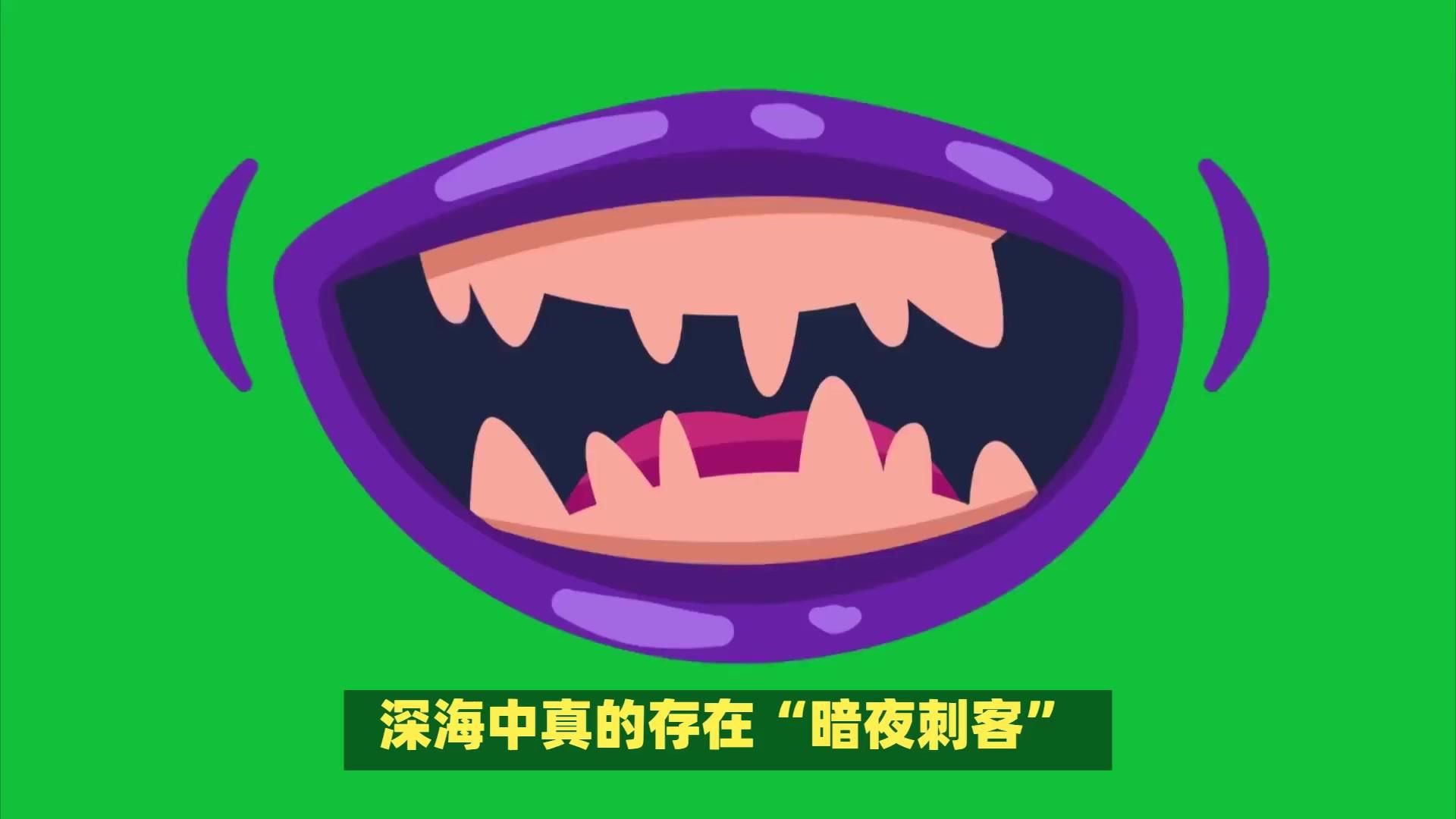 深海龍魚和龍利魚有何區別，深海龍魚與龍利魚的區別，看清別被“坑”了美食小沫