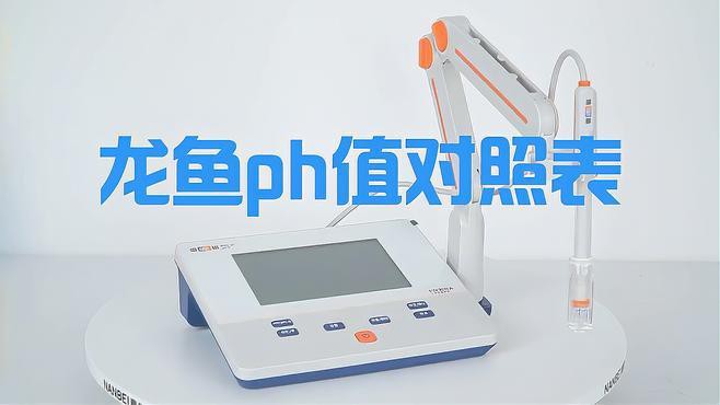 養(yǎng)龍魚時如何科學(xué)管理水質(zhì)？，《養(yǎng)龍魚時如何科學(xué)管理水質(zhì)》水質(zhì)管理、健康秘訣大揭秘