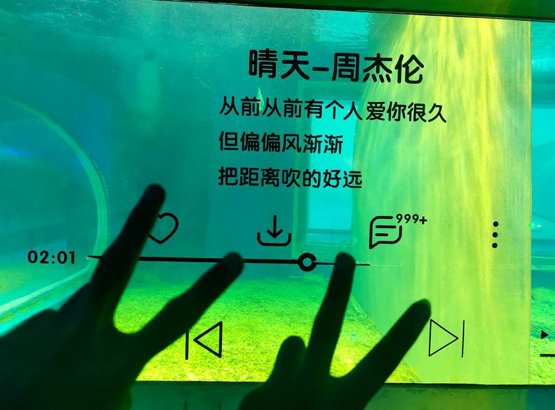 湘潭水族店，湘潭水族店湘潭海洋館哪個更受歡迎哪個更受歡迎