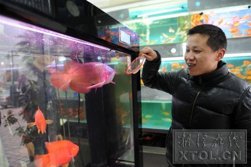 湘潭水族店，湘潭水族店湘潭海洋館哪個更受歡迎哪個更受歡迎