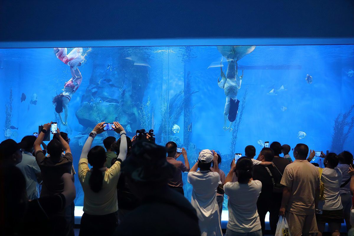 湘潭水族店，湘潭水族店湘潭海洋館哪個更受歡迎哪個更受歡迎