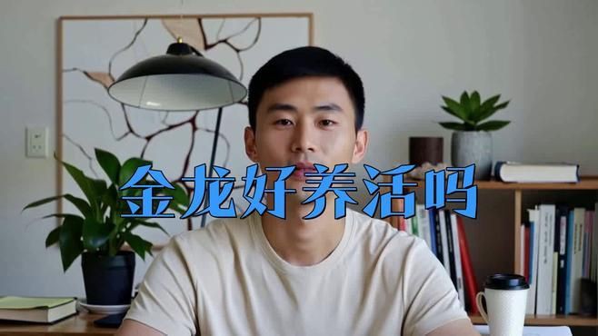 古典金龍和過背金龍哪個更好養？，古典金龍與過背金龍哪個更好養 古典金龍和過背金龍哪個更好養？，古典金龍與過背金龍哪個更好養 龍魚百科 第3張