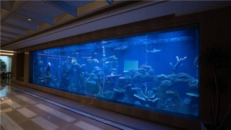 潮州魚缸定做，潮州魚缸定做服務展現出專業化與多樣化的特點 潮州魚缸定做，潮州魚缸定做服務展現出專業化與多樣化的特點 全國水族館企業名錄 第2張