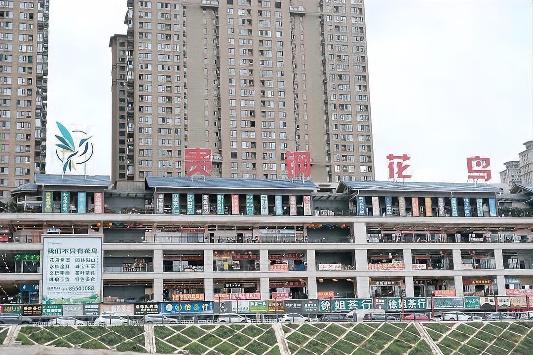 南明水族店，南明區水族館哪個評價最好