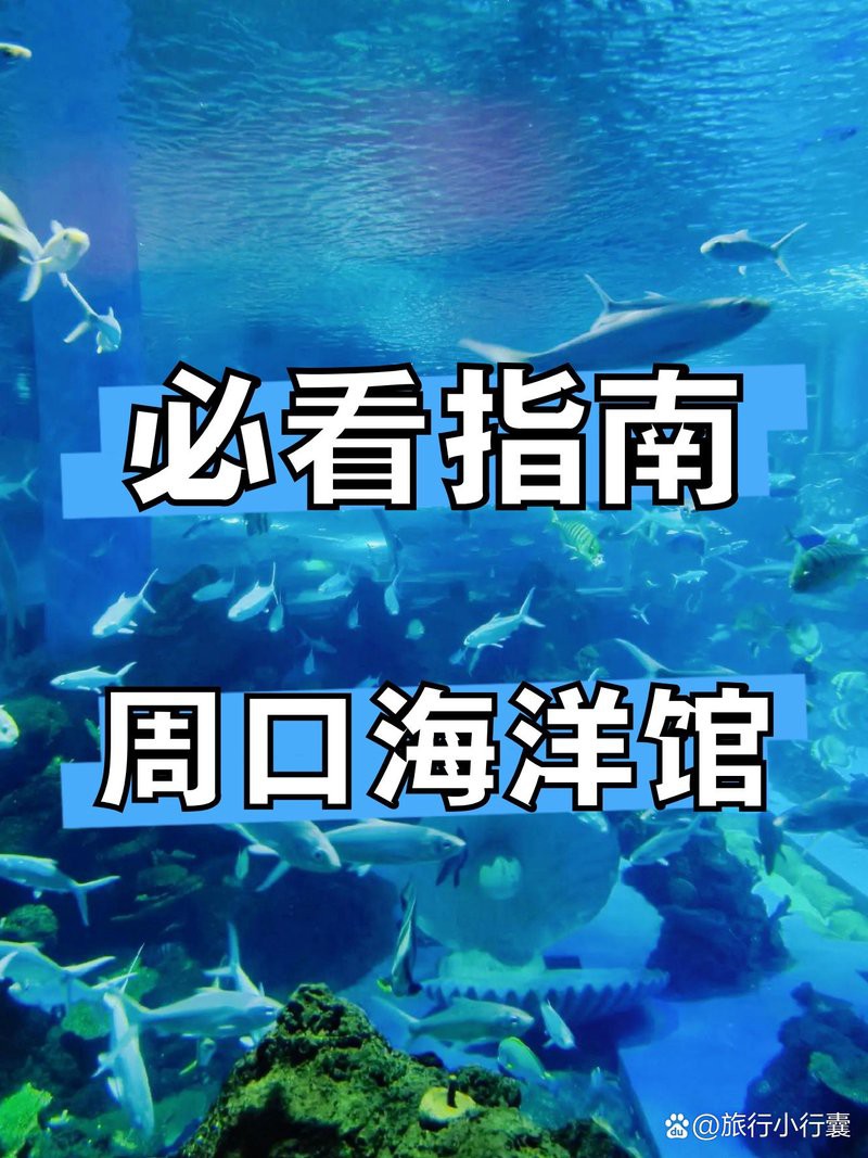 淮陽水族店，淮陽縣青松龍魚水族館
