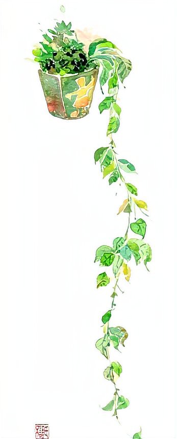 養(yǎng)三條魚最吉利，《道德經(jīng)》\