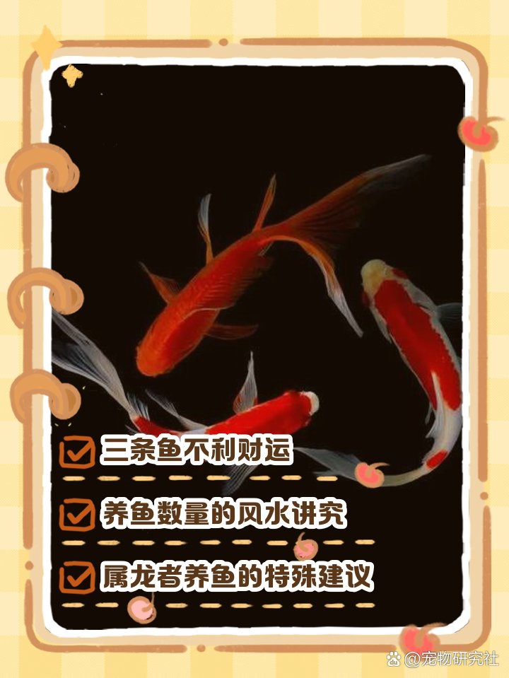 養(yǎng)三條魚最吉利，《道德經(jīng)》\