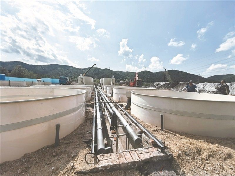 牡丹江水族店，關(guān)于牡丹江市水族店的分析