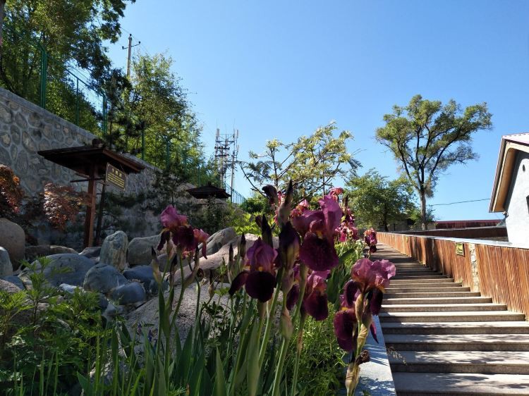 武山水族店，武山縣有哪些水族店 武山水族店，武山縣有哪些水族店 全國水族館企業名錄 第2張