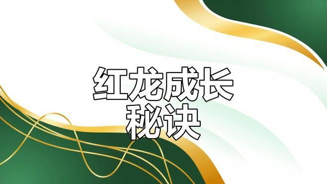 紅龍照明效果最佳方案，養(yǎng)紅龍魚用什么增色燈好看