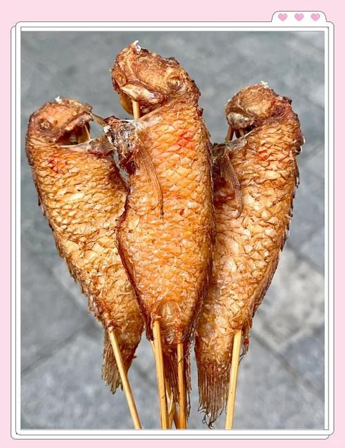 玫瑰魚仔圖片，“玫瑰魚仔圖片”聚焦于展現玫瑰魚幼體的形態與色彩魅力