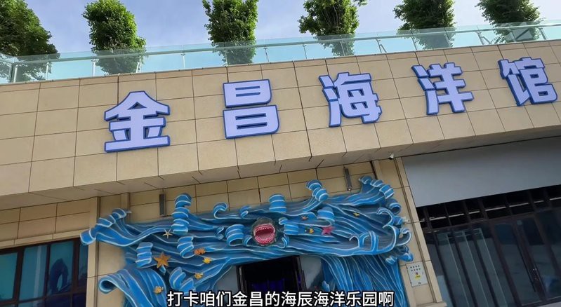 海城水族店，海城地區的水族店展現出多元化的經營特色，美在<strong><mark>阿里</mark></strong>水族館嗎