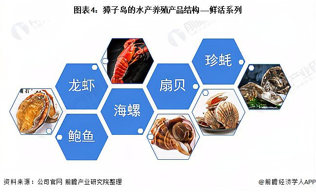 全國(guó)水族館企業(yè)名錄一覽表最新版2023，2023年全國(guó)水族館企業(yè)全景掃描