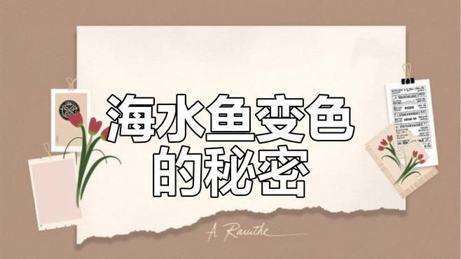 海水觀賞魚色彩特點，《海水觀賞魚色彩特點》海水觀賞魚以其絢麗多彩的體色聞名于世