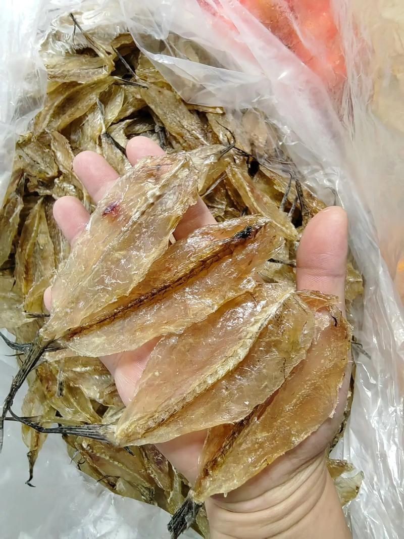 柳丁魚圖片大全，“柳丁魚圖片大全”聚焦于展示各類柳丁魚的視覺影像資料 柳丁魚圖片大全，“柳丁魚圖片大全”聚焦于展示各類柳丁魚的視覺影像資料 龍魚百科 第22張