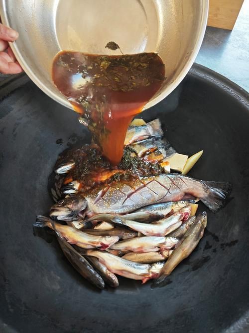 柳丁魚圖片大全，“柳丁魚圖片大全”聚焦于展示各類柳丁魚的視覺影像資料 柳丁魚圖片大全，“柳丁魚圖片大全”聚焦于展示各類柳丁魚的視覺影像資料 龍魚百科 第21張