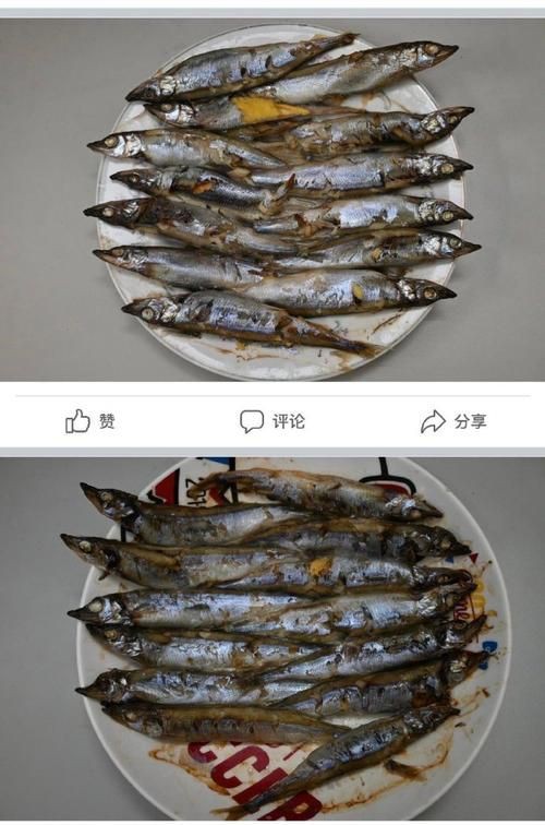 柳丁魚圖片大全，“柳丁魚圖片大全”聚焦于展示各類柳丁魚的視覺影像資料 柳丁魚圖片大全，“柳丁魚圖片大全”聚焦于展示各類柳丁魚的視覺影像資料 龍魚百科 第19張