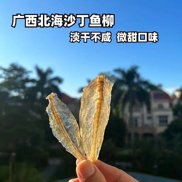 柳丁魚圖片大全，“柳丁魚圖片大全”聚焦于展示各類柳丁魚的視覺影像資料 柳丁魚圖片大全，“柳丁魚圖片大全”聚焦于展示各類柳丁魚的視覺影像資料 龍魚百科 第23張