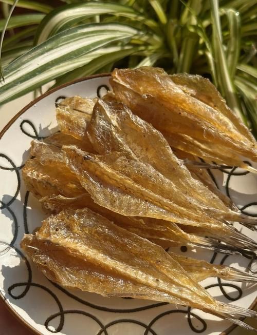 柳丁魚圖片大全，“柳丁魚圖片大全”聚焦于展示各類柳丁魚的視覺影像資料 柳丁魚圖片大全，“柳丁魚圖片大全”聚焦于展示各類柳丁魚的視覺影像資料 龍魚百科 第9張