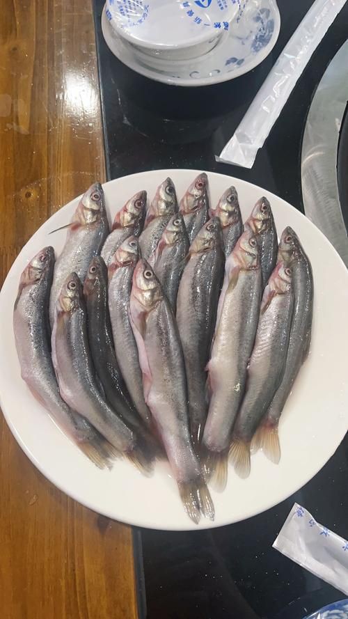 柳丁魚圖片大全，“柳丁魚圖片大全”聚焦于展示各類柳丁魚的視覺影像資料 柳丁魚圖片大全，“柳丁魚圖片大全”聚焦于展示各類柳丁魚的視覺影像資料 龍魚百科 第2張