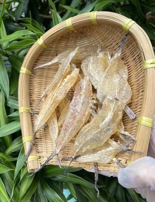 柳丁魚圖片大全，“柳丁魚圖片大全”聚焦于展示各類柳丁魚的視覺影像資料 柳丁魚圖片大全，“柳丁魚圖片大全”聚焦于展示各類柳丁魚的視覺影像資料 龍魚百科 第8張