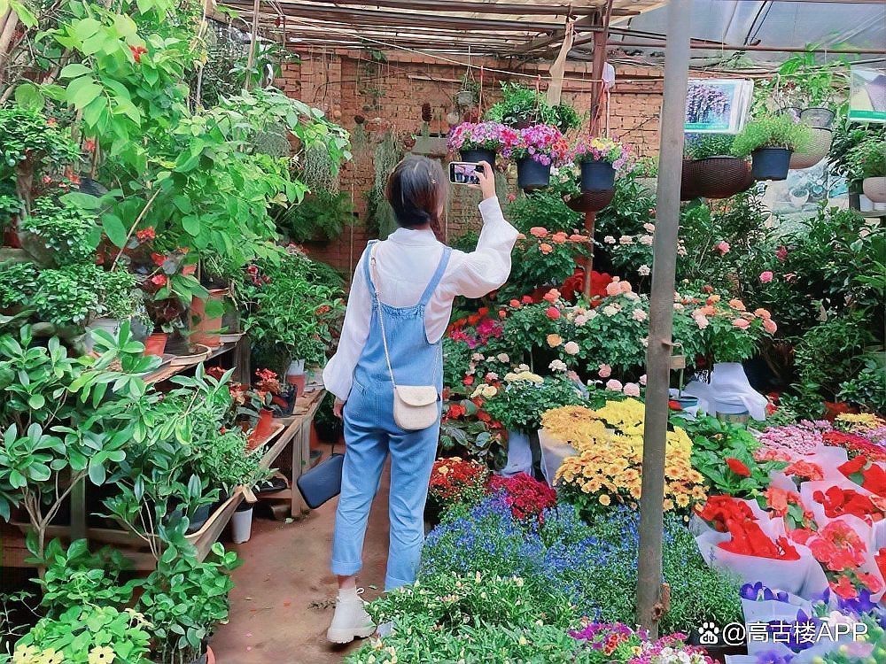 玉溪水族店，玉溪市紅塔區(qū)頤神苑水族店