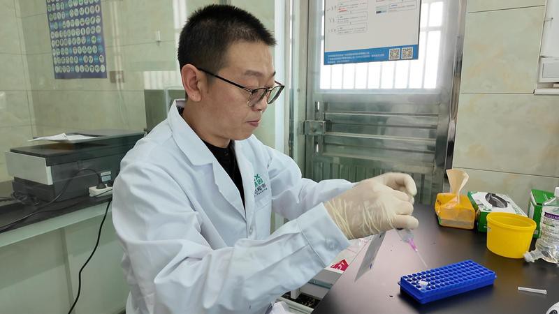 枝江龍魚店，枝江市枝江市龍魚店