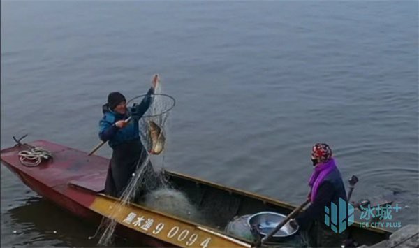 巴彥龍魚店，“巴彥龍魚店”聚焦于龍魚及相關(guān)水族寵物的銷售與服務(wù)