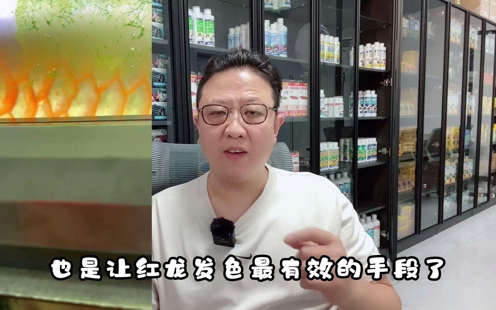 紅龍發(fā)色遺傳規(guī)律，魚生科技
