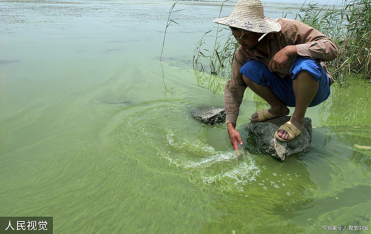 養(yǎng)魚新手需要注意什么，2025年養(yǎng)魚新手入門指南，養(yǎng)魚新手入門指南