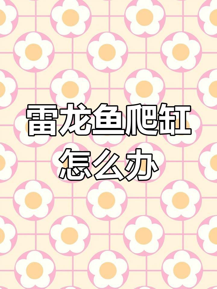 如何判斷雷龍魚是否適應新環境？，如何判斷雷龍魚是否適應新環境