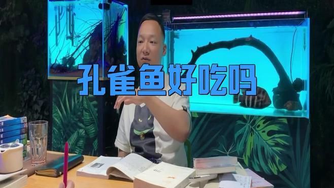 孔雀魚可以吃嗎，孔雀魚喂食技巧，看看你做對了嗎