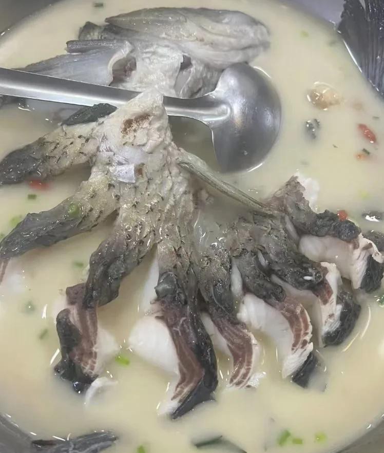 開化龍魚店，開化龍魚店如何選址