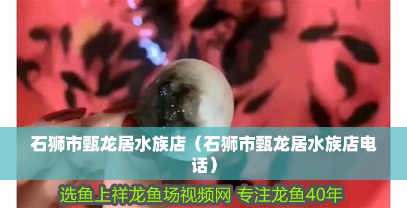 <strong><mark>泉州</mark></strong>龍魚店，<strong><mark>泉州</mark></strong>經濟技術開發區龍魚之家水族館