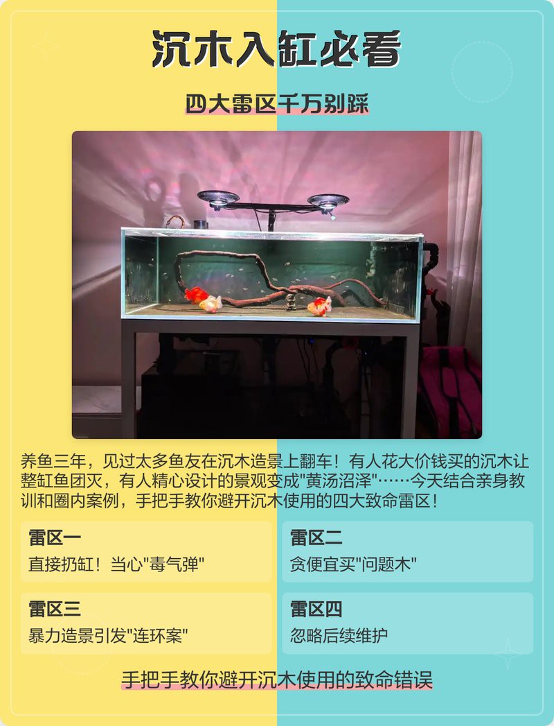 如何選擇適合龍魚(yú)的沉木？，如何選擇適合龍魚(yú)的沉木 如何選擇適合龍魚(yú)的沉木？，如何選擇適合龍魚(yú)的沉木 龍魚(yú)論壇 第1張