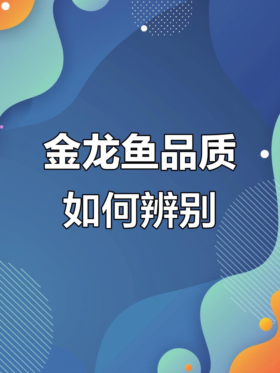 如何挑選健康且品相好的金龍魚？，如何挑選健康且品相好的金龍魚