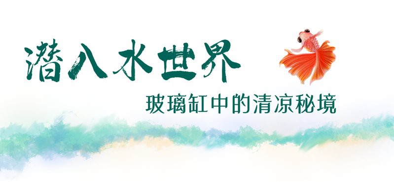 湖濱水族店，“都市水森林”摸魚 湖濱水族店，“都市水森林”摸魚 全國水族館企業名錄 第2張